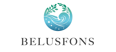 株式会社BELUSFONS